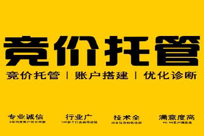 电商行业中的信息流大师案例分享